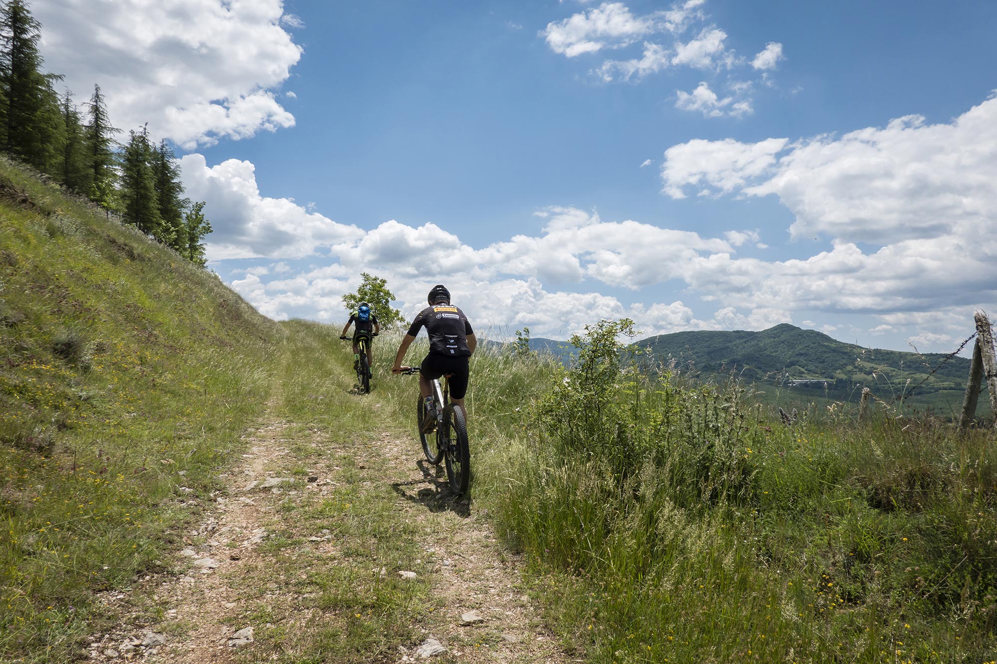 Passeggiate in mountain bike all'interno della Riserva di Agenzia Le Iridi Digitali © Archivio Riserva Biosfera Collemuccio - Montedimezzo