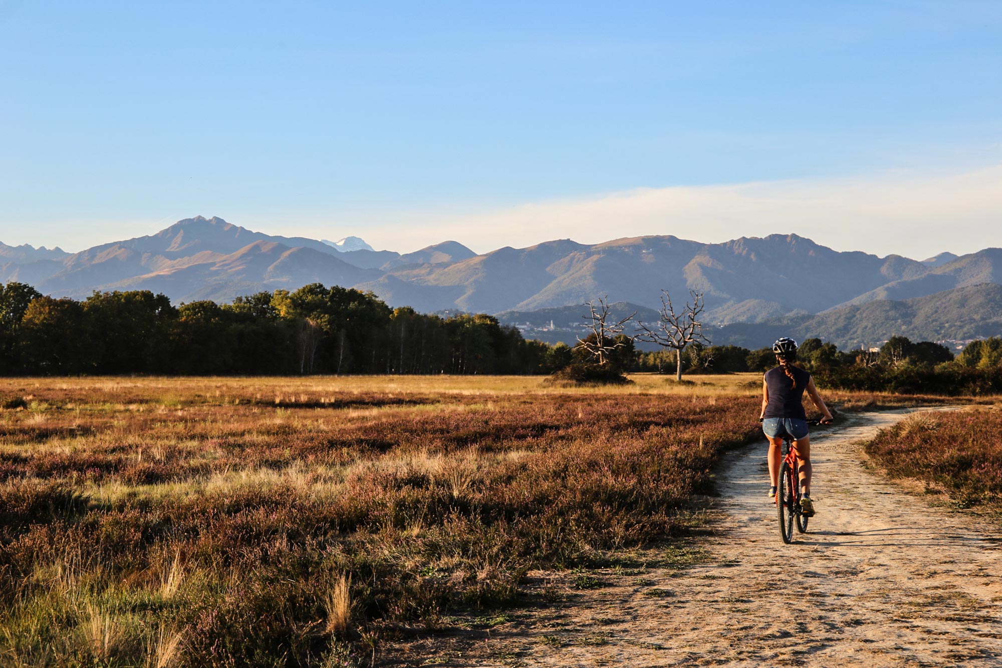Bike baraggia biellese © Archivio Agenzia turistica Alto Piemonte