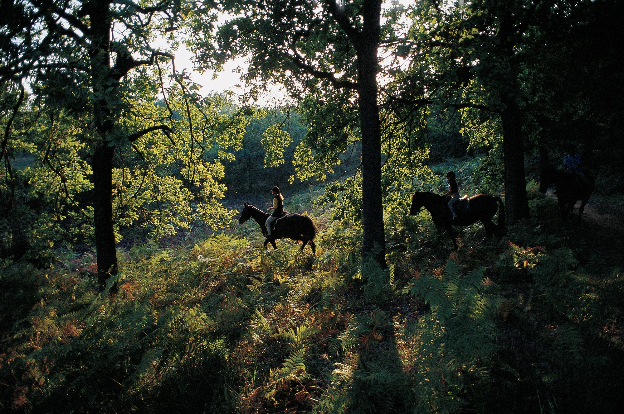 Equitazione baraggia biellese © Archivio Agenzia turistica locale Alto Piemonte