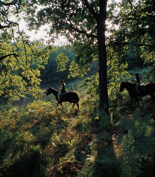 Equitazione baraggia biellese © Archivio Agenzia turistica locale Alto Piemonte