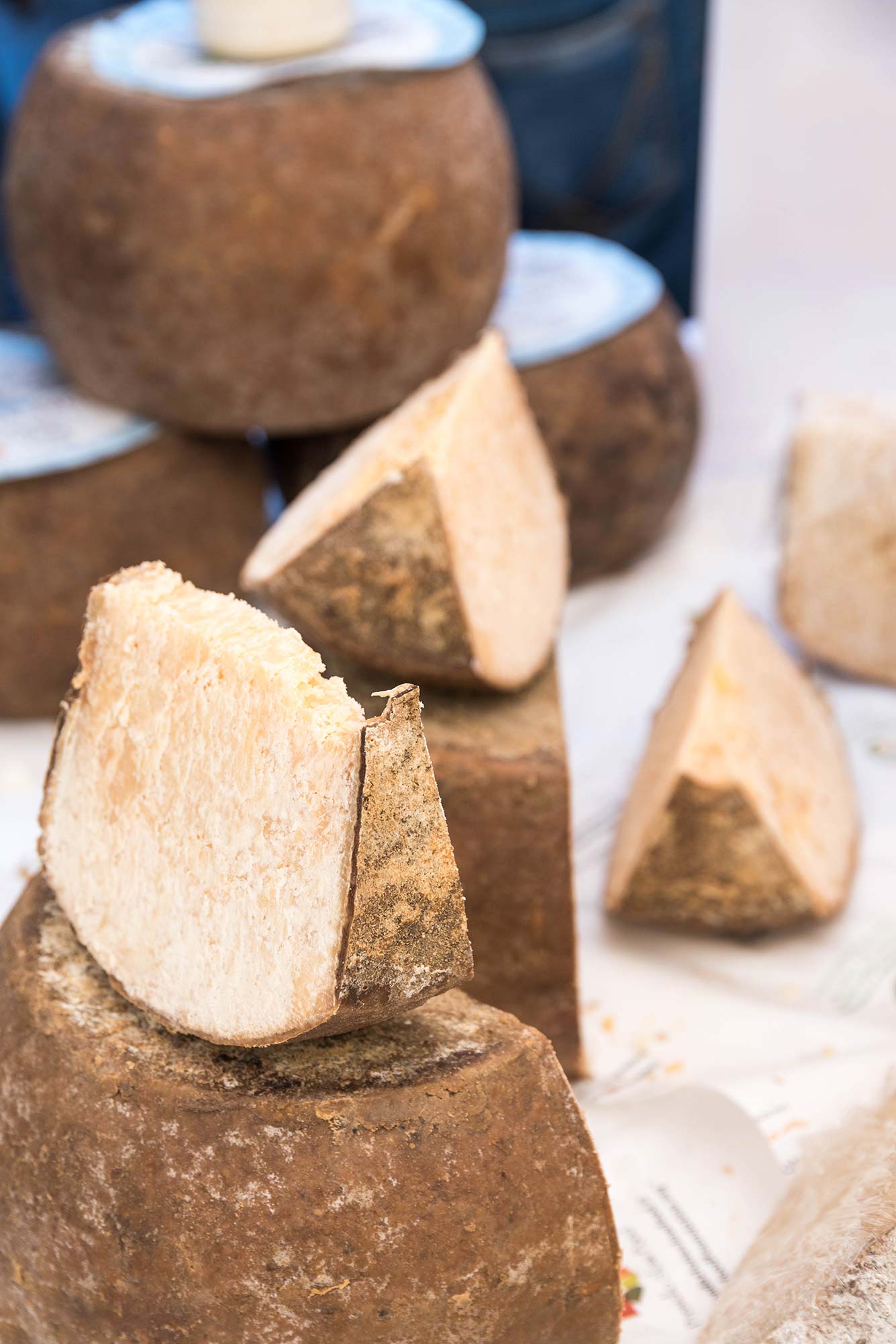 Macomer Fiore sardo dei pastori © Luca Carli