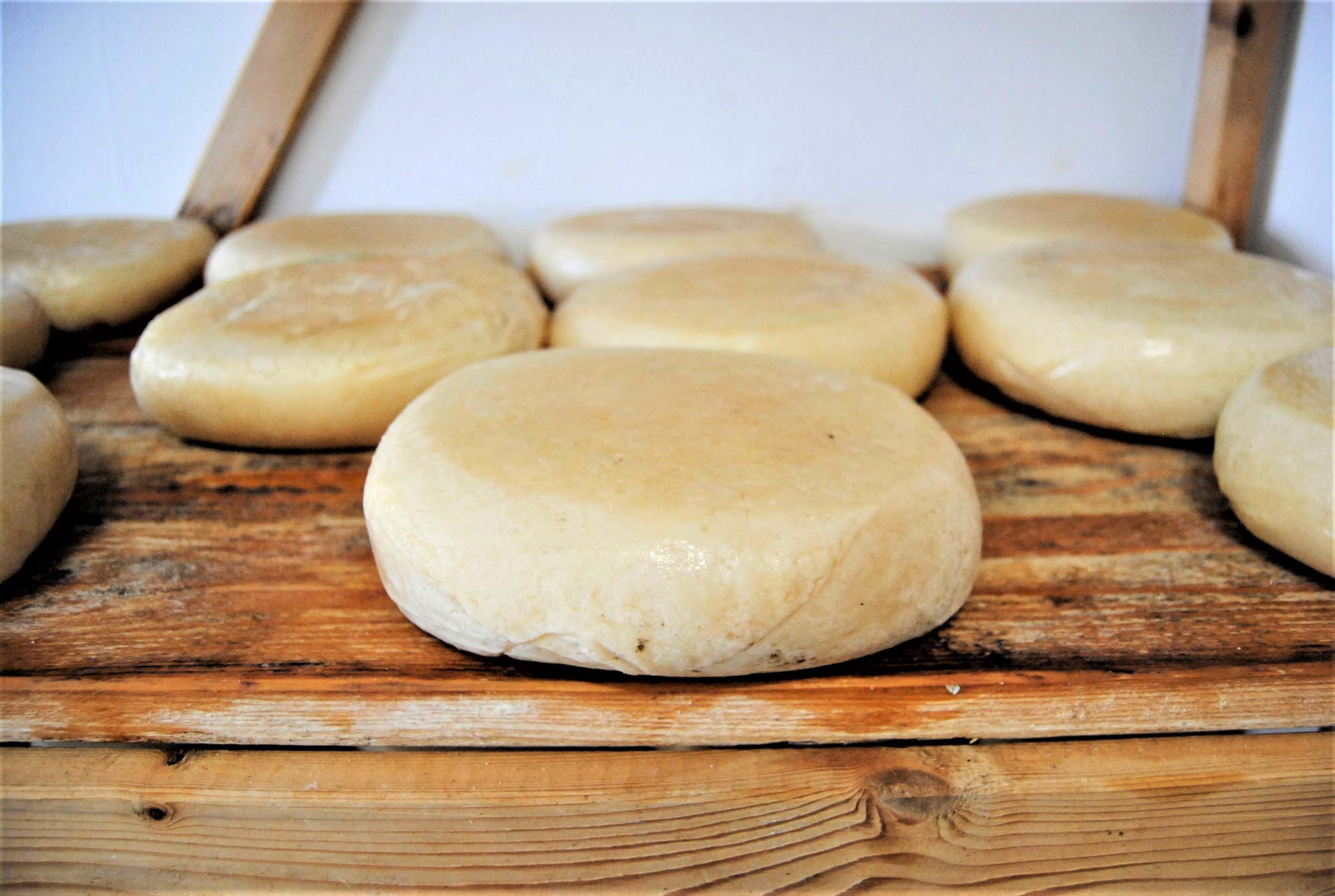 Ittiri Fresa di Ittiri © Valerie Ganio Vecchiolino