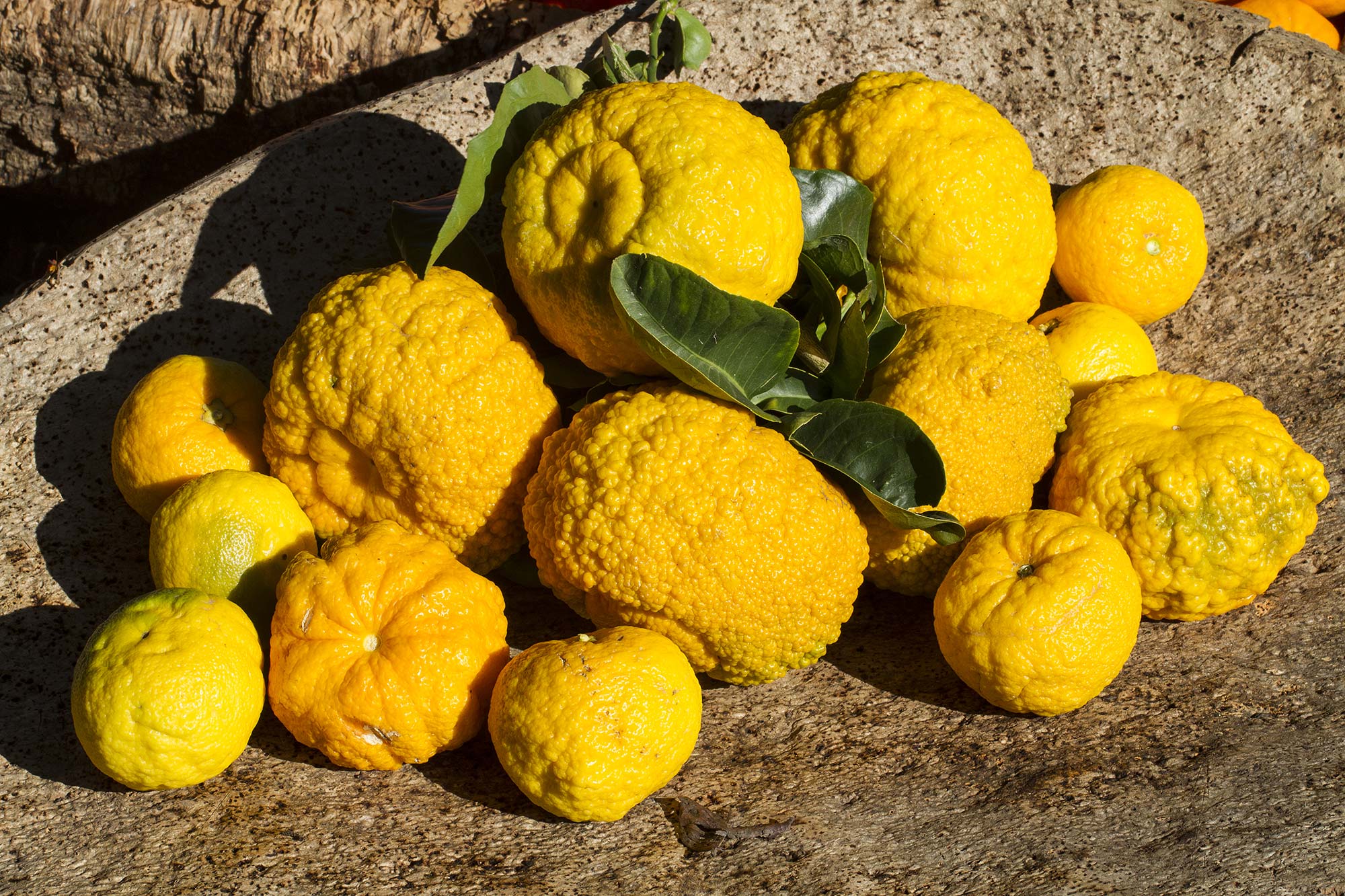 Pompìa © Renato Brotzu