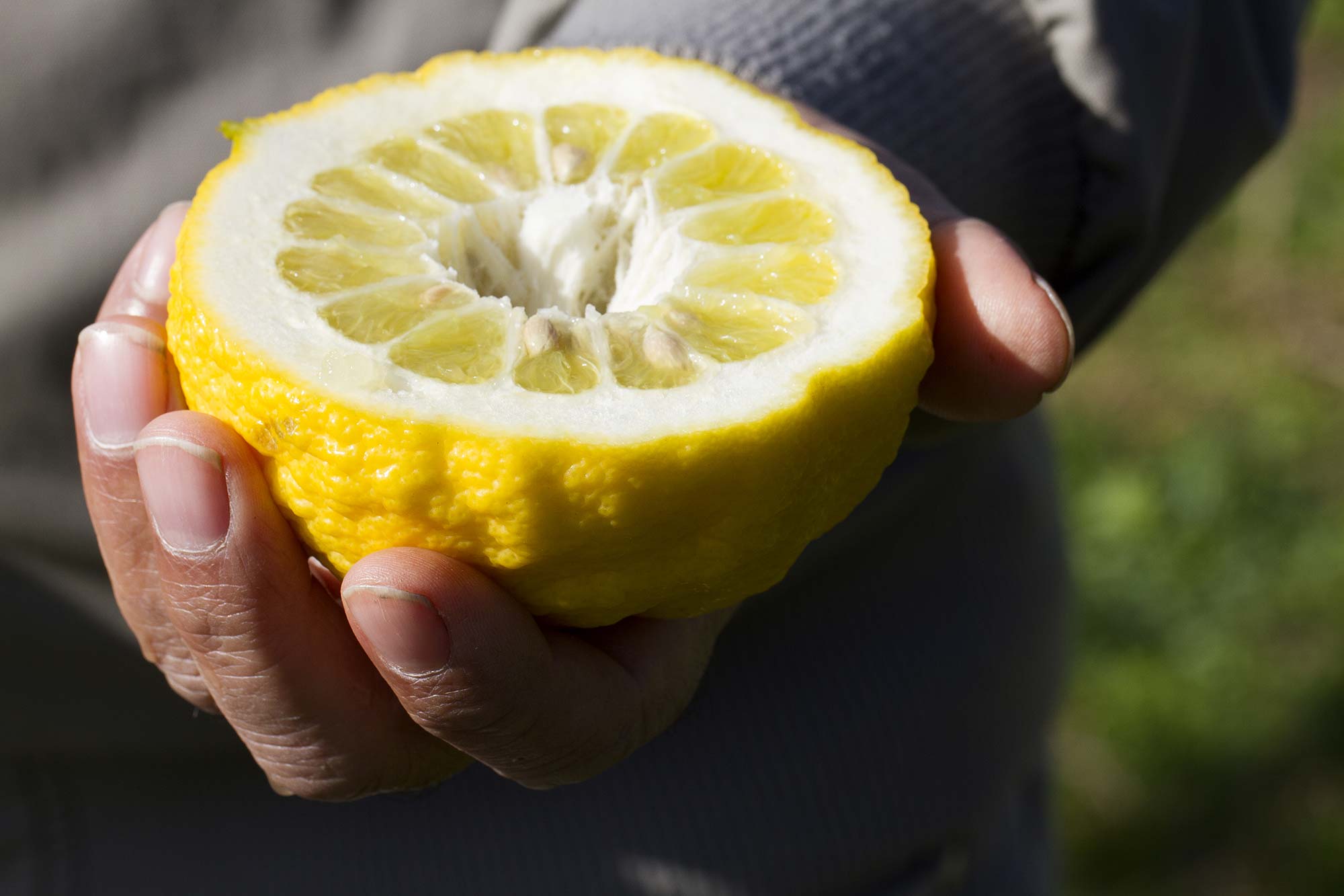 Pompìa © Renato Brotzu