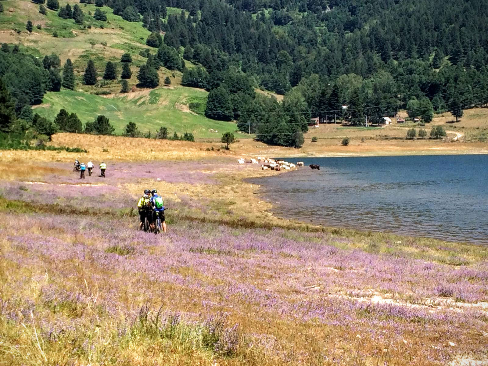 La Sila Piccola Parco nazionale della Sila: in mountain bike sul lago Ampollino © Luigi Faini, concorso fotografico TCI Italia in biciletta