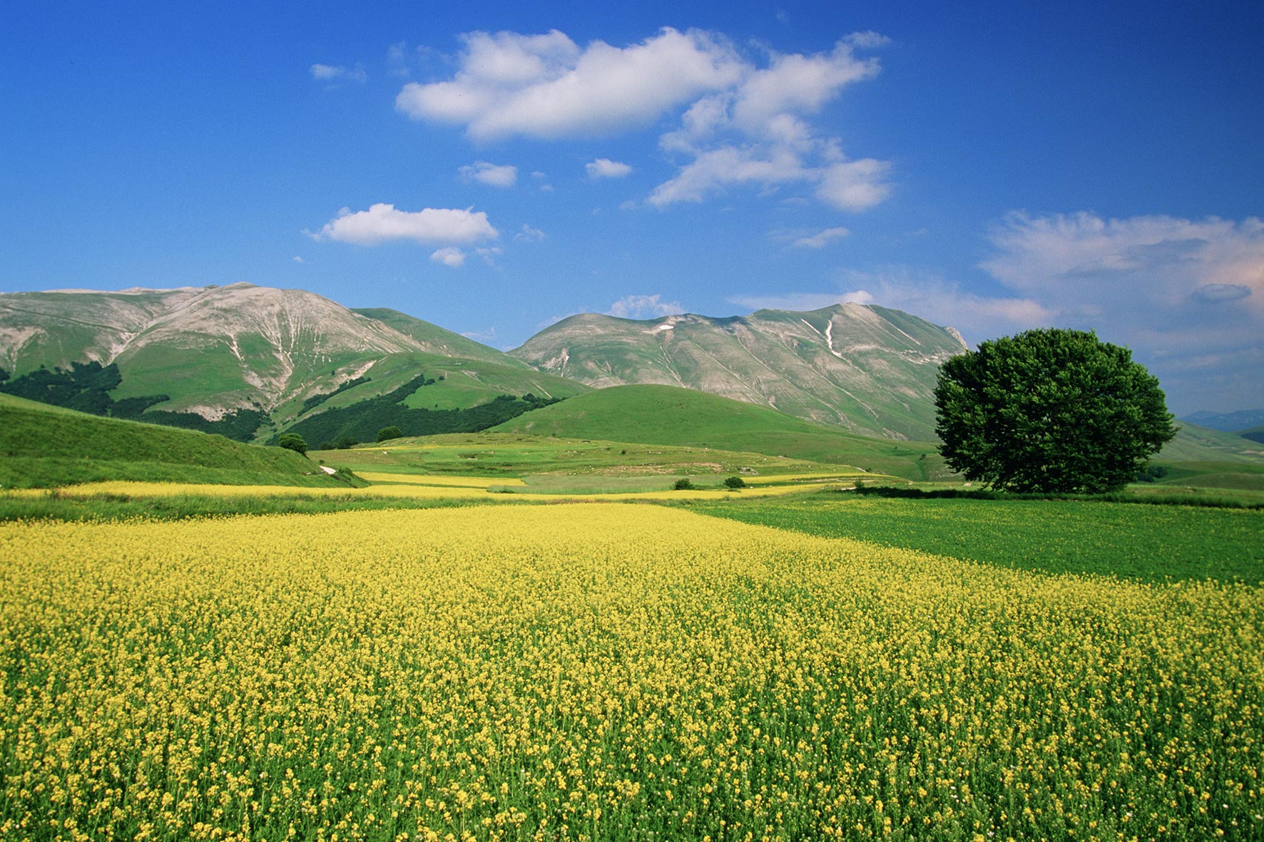 Parco Nazionale dei Monti Sibillini Piani di Castelluccio © Archivio Ente Parco Nazionale dei Monti Sibillini - autore Giorgio Tassi