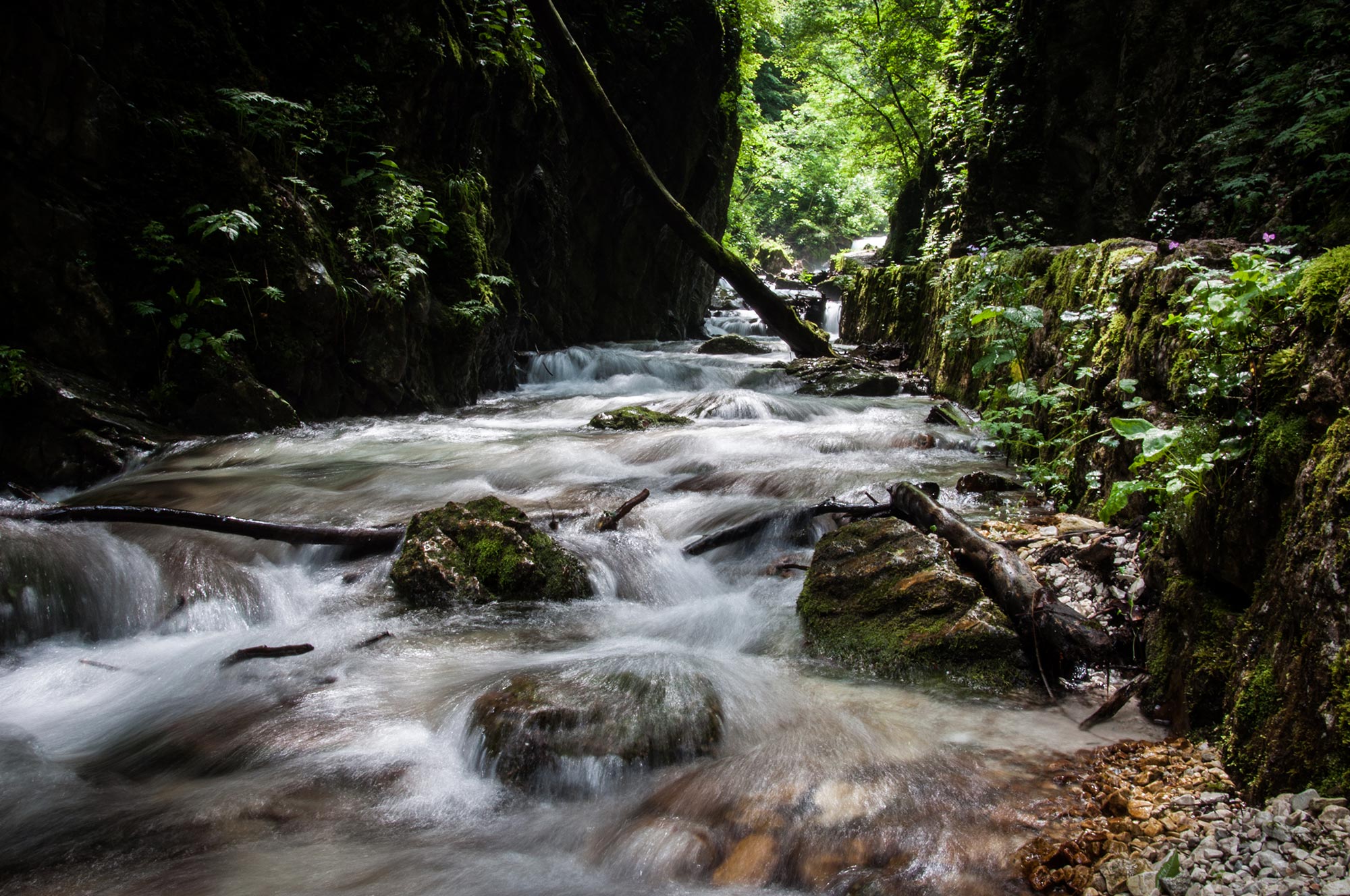 Gola dell'Infernaccio Gola dell'Infernaccio © Archivio Ente Parco Nazionale dei Monti Sibillini - autore Studio Silva SRL