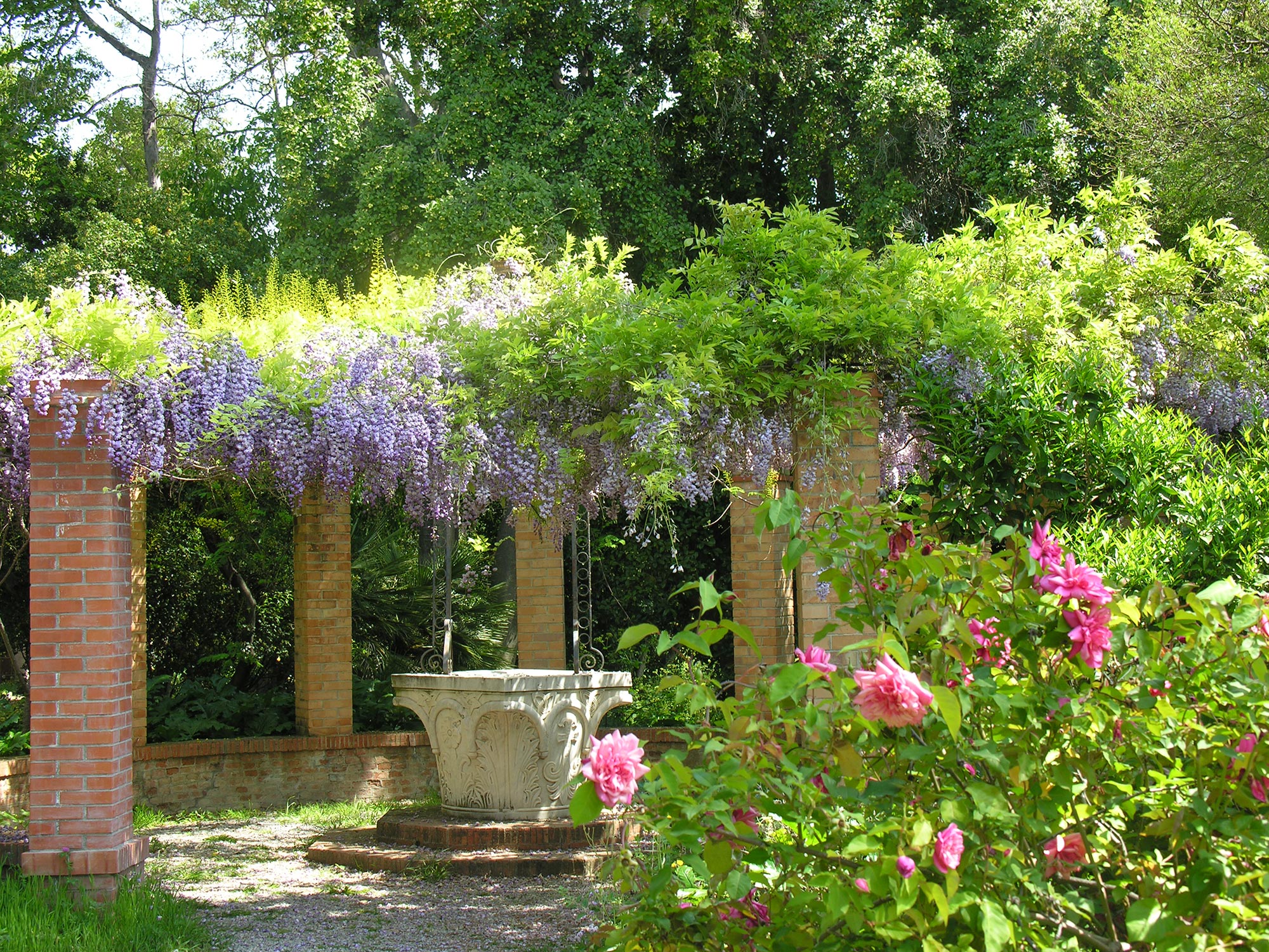 Giardini Botanici Hanbury Il Pozzo Veneto © Archivio GBH - foto Daniela Guglielmi