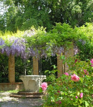 Giardini Botanici Hanbury Il Pozzo Veneto © Archivio GBH - foto Daniela Guglielmi