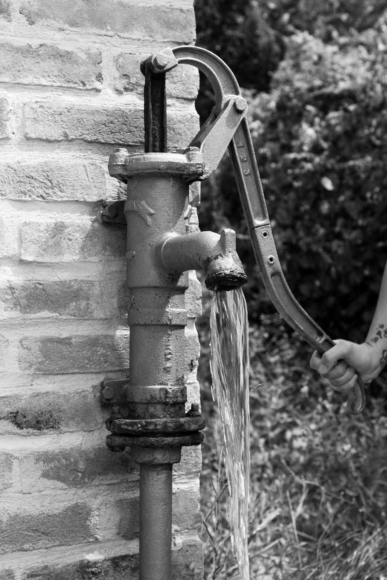 Piccola Cassia Scorci e sentieri lungo il cammino Piccola Cassia, il tratto d’Appennino che già i Romani utilizzavano per raggiungere la Pianura Padana centrale salendo da Pistoia. Nell’Alto medioevo diventò una strada longobarda, poi uno dei tanti itinerari che portavano a Roma congiungendosi con la via Francigena © Comune di Valsamoggia - foto Greta Pellegrino