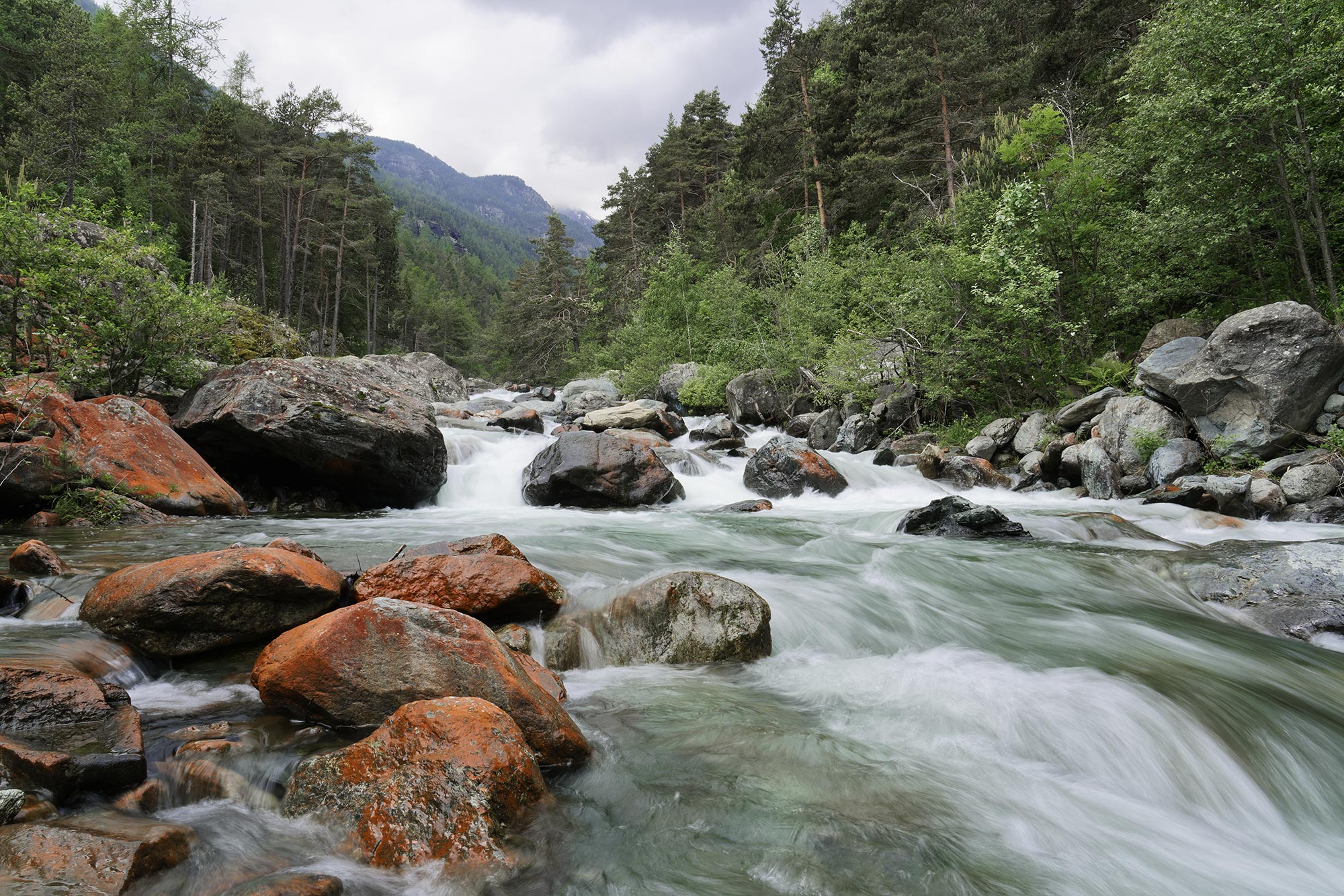 Parco Monte Avic Torrente Chalamy © Roberto Facchini