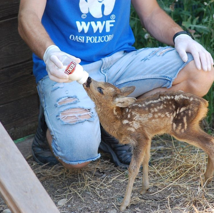 Oasi del Bosco Pantano di Policoro Oasi del Bosco Pantano di Policoro © Pierpaolo Larenza
