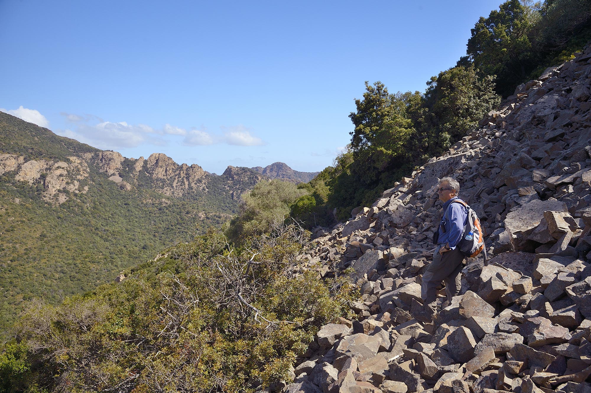 Oasi di Monte Arcosu Sentiero Sa rocca Lada © WWF Italia