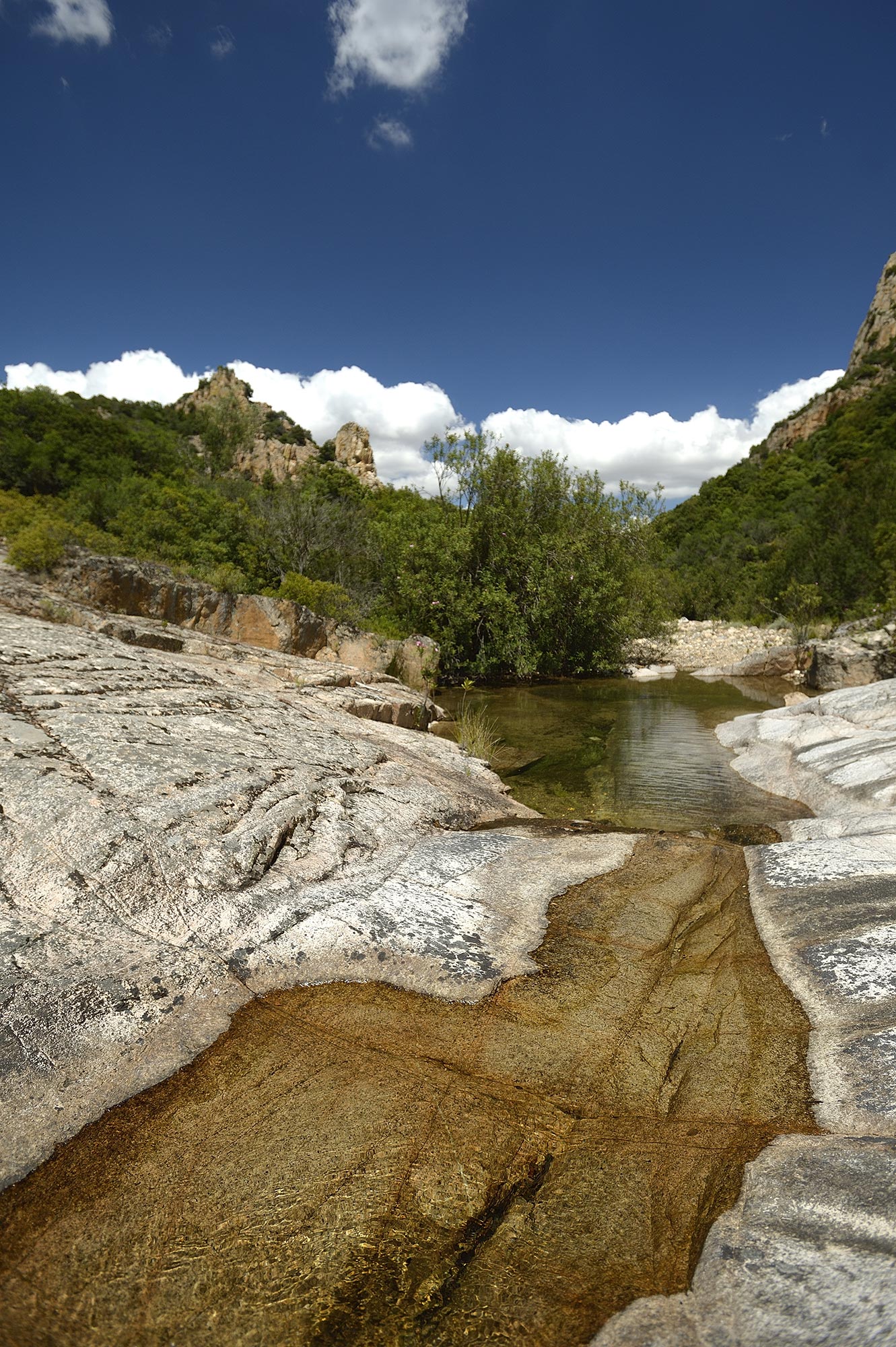 Oasi di Monte Arcosu Valle Is Frociddus © WWF Italia