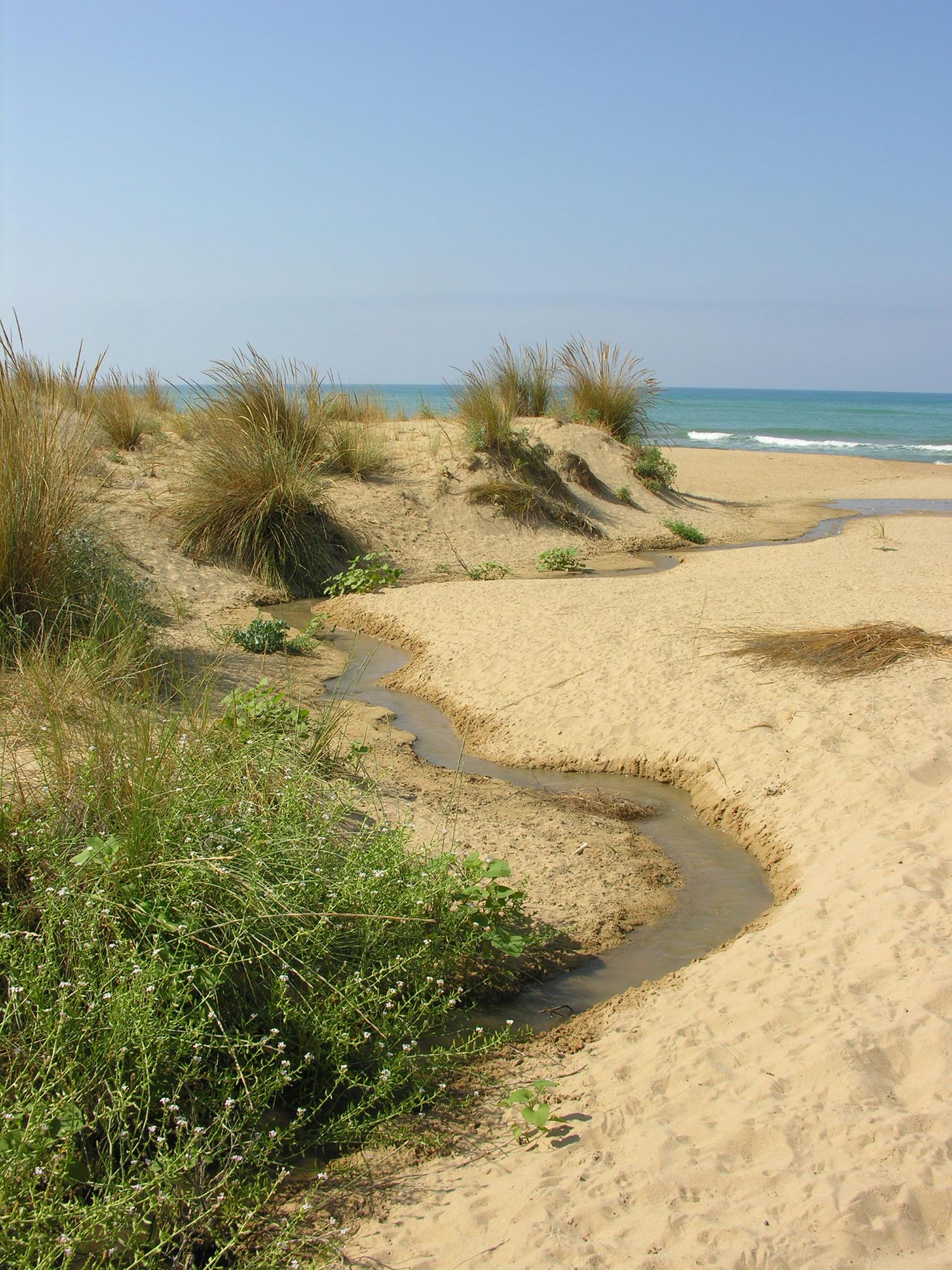 Oasi di Torre Salsa Dune e torrente © D. Bonaviri