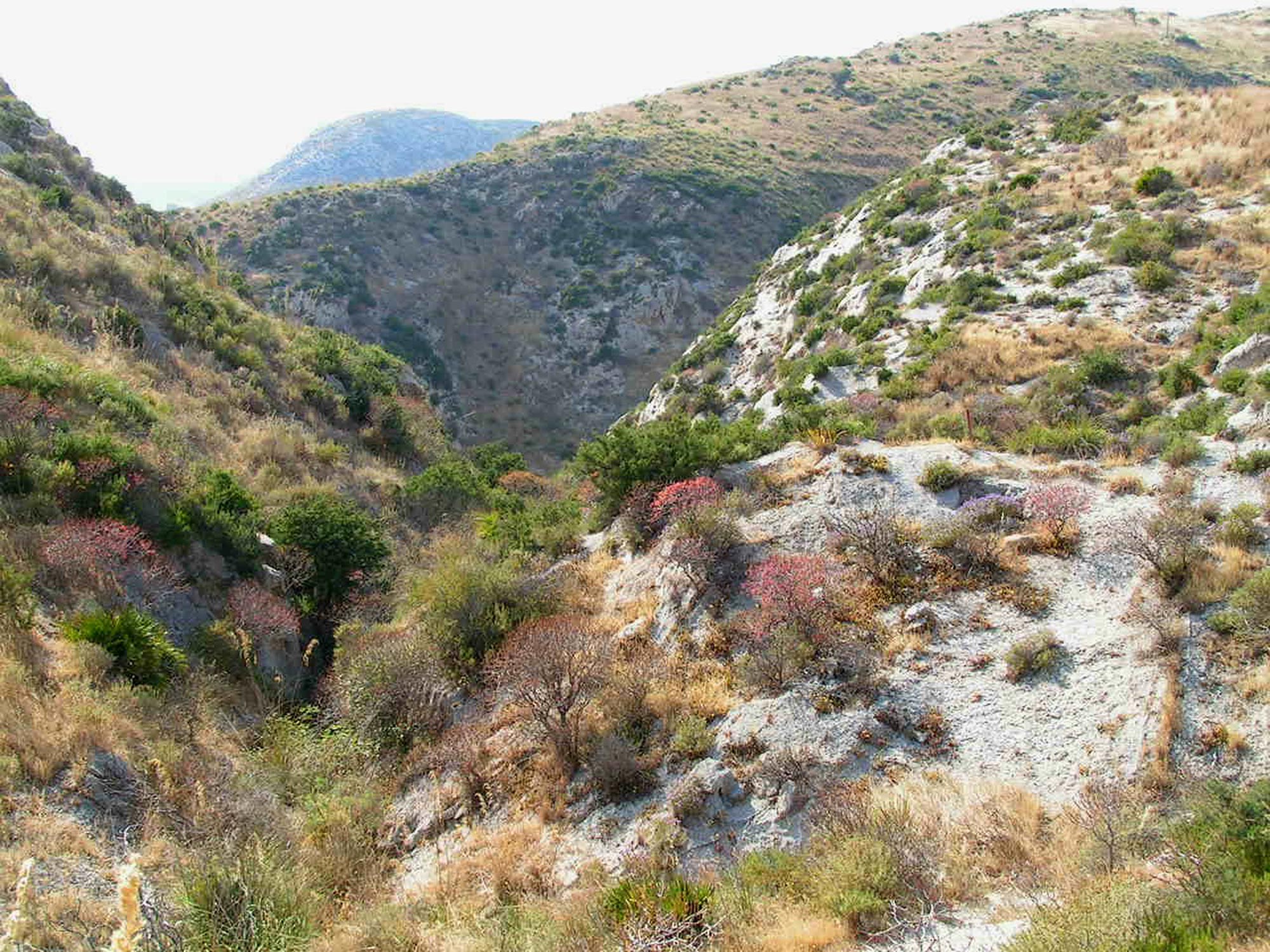 Oasi di Torre Salsa Valle del Ginepro © M. Termine