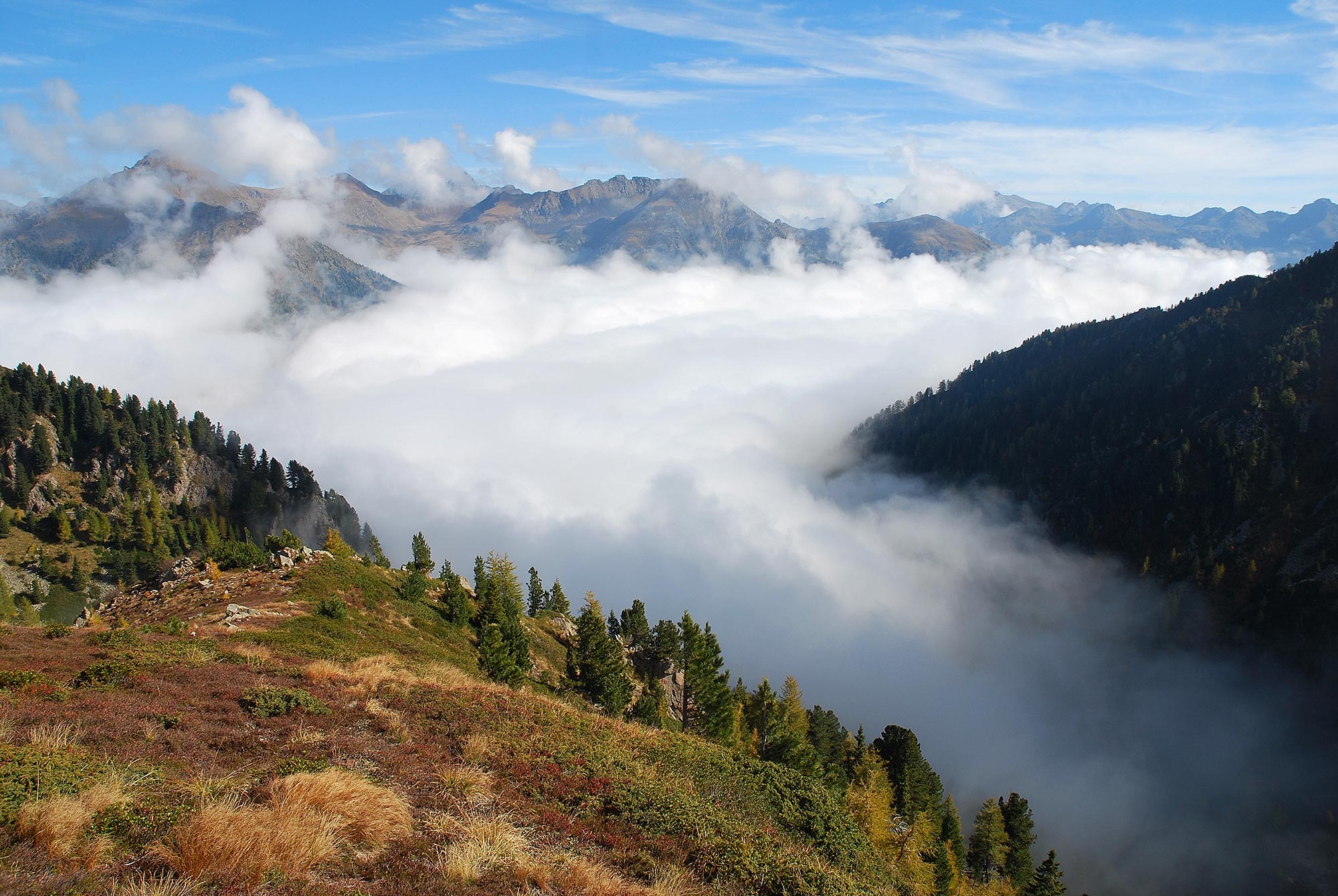 Oasi di Valtrigona Panorama dal Tornion © Walter Tomio