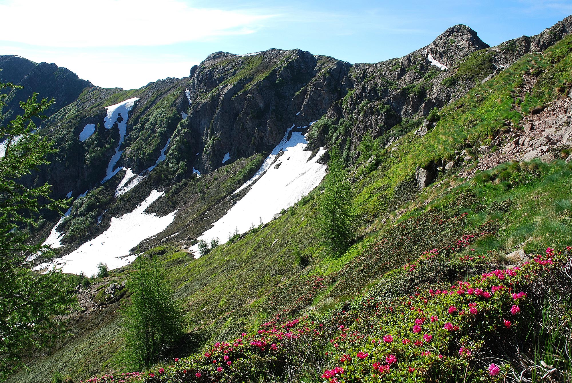 Oasi di Valtrigona Valtrigona © Walter Tomio