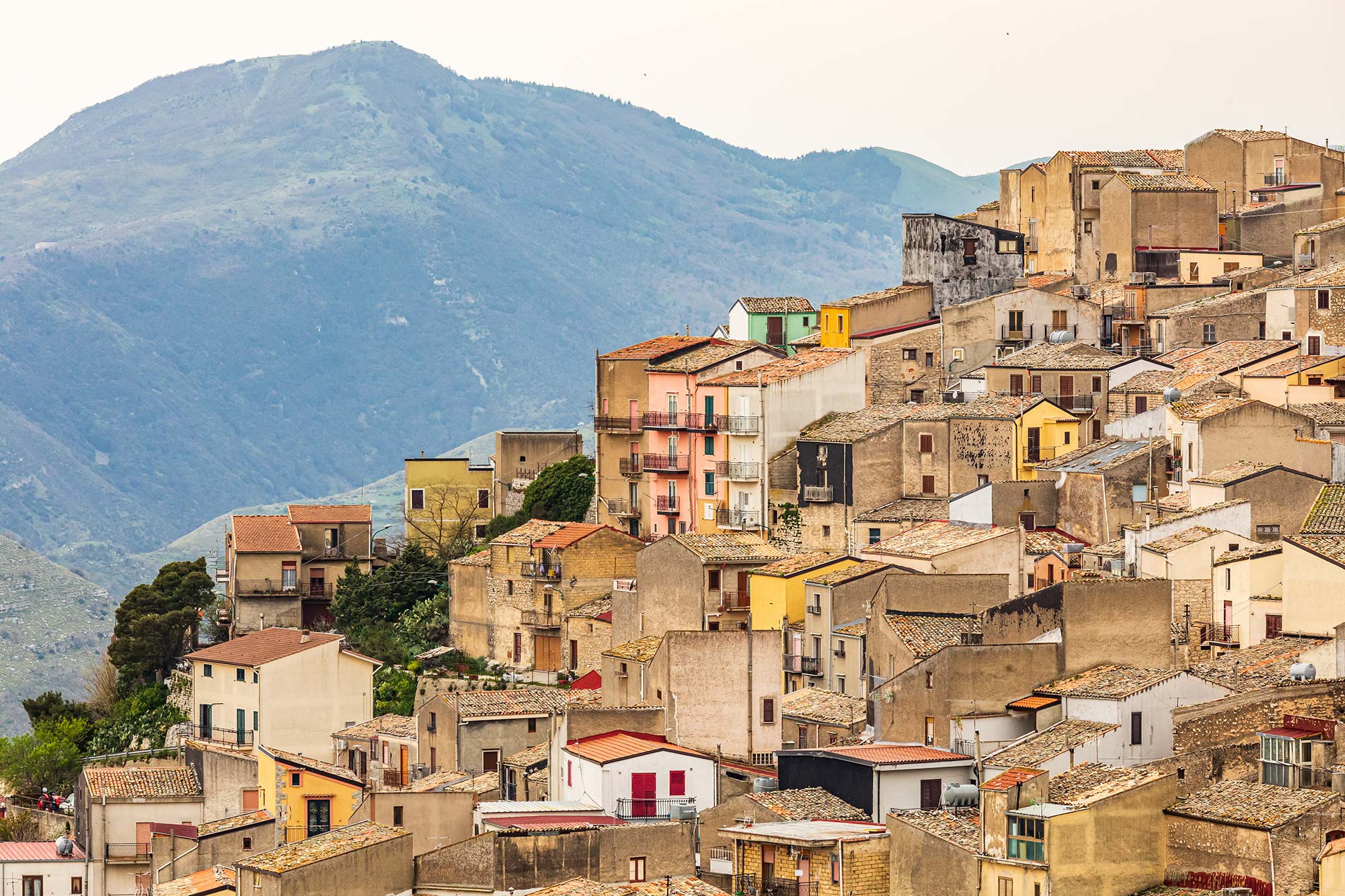 Prizzi Prizzi © Emily Marie Wilson / Shutterstock