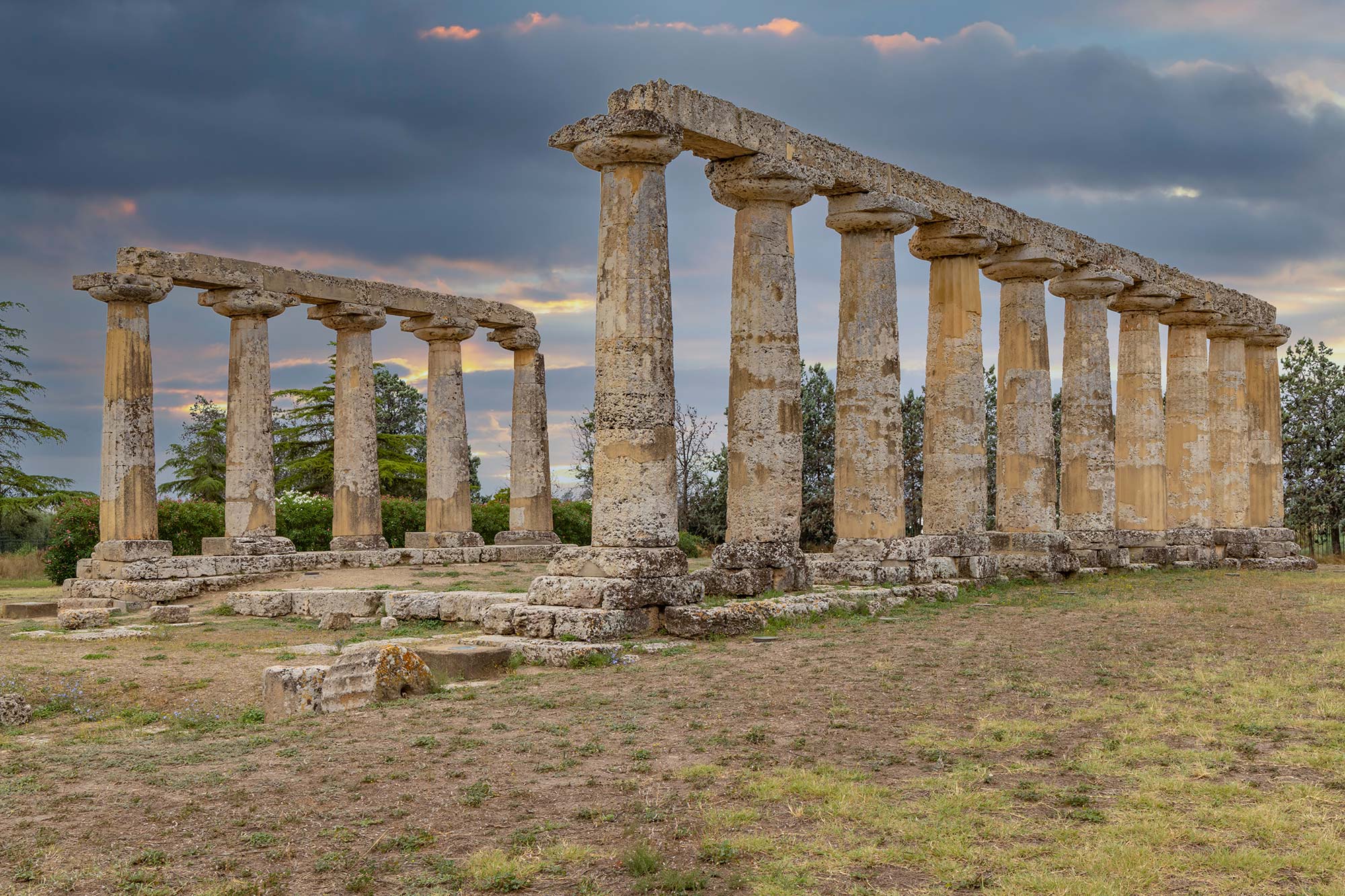 Metaponto Il Tempio di Hera nel Parco archeologico di Metaponto © Richard Semik / Shutterstock.com