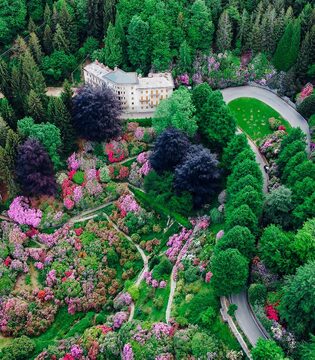 Oasi Zegna Veduta aerea dell'Oasi Zegna con i rododendri in fiore © PippiLongstocking/Shutterstock.com