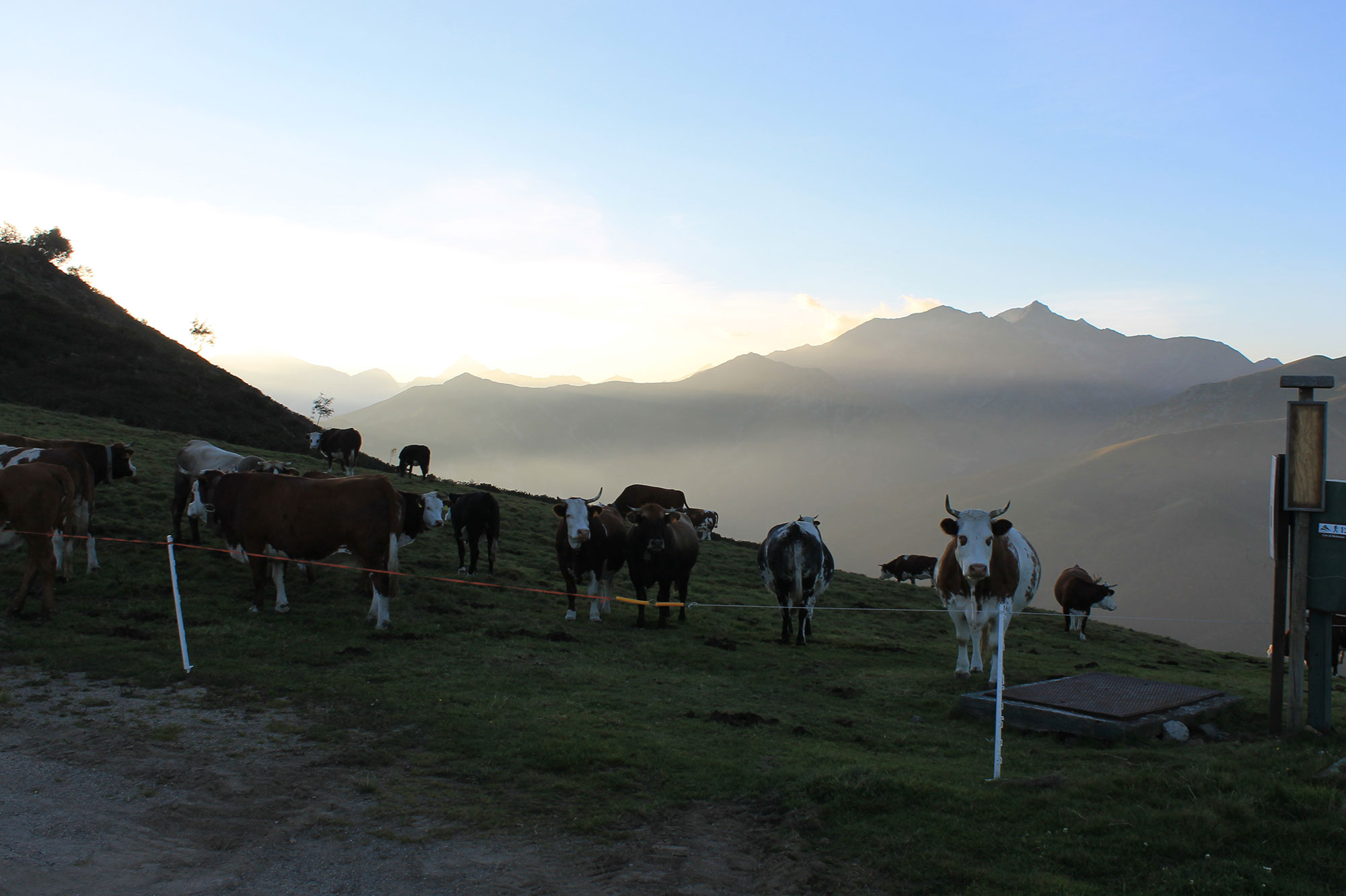 Panoramica Zegna I pascoli nei dintorni di Bielmonte nella Valle del Cervo durante il periodo estivo © Alessio Botto, concorso fotografico TCI I paesaggi del cibo