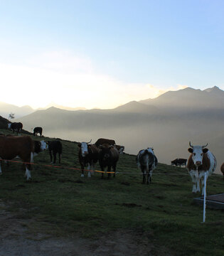 Panoramica Zegna I pascoli nei dintorni di Bielmonte nella Valle del Cervo durante il periodo estivo © Alessio Botto, concorso fotografico TCI I paesaggi del cibo