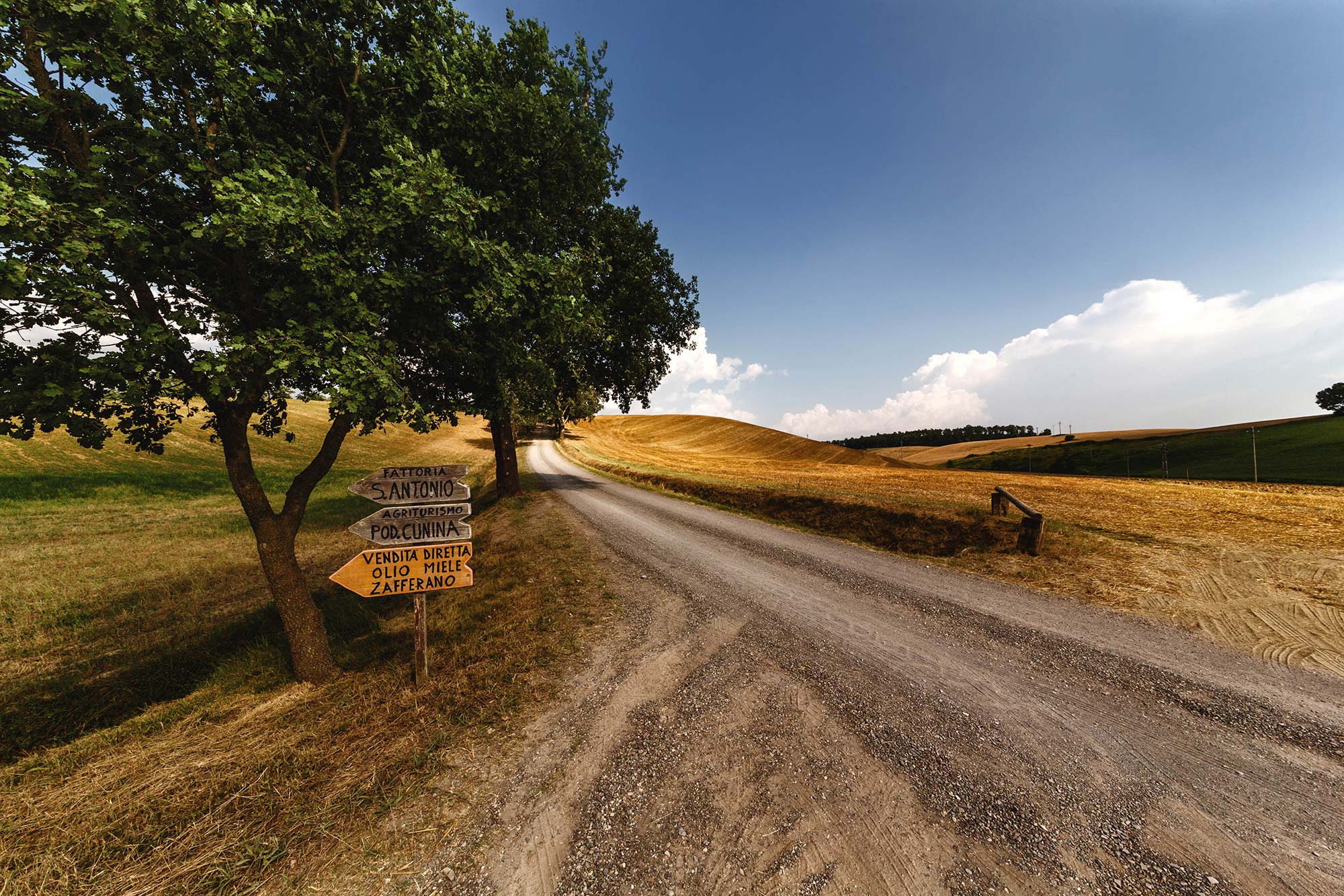 Buonconvento I campi nei dintorni di Buonconvento © Andrea Liverani/Concorso fotografico TCI I Paesaggi del cibo