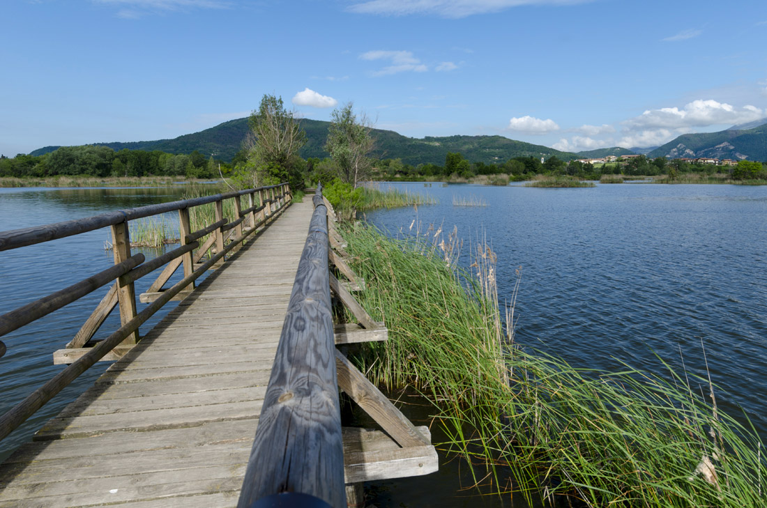 Lago d'Iseo (BS) Riserva Naturale Torbiere del Sebino ©Mario Verin