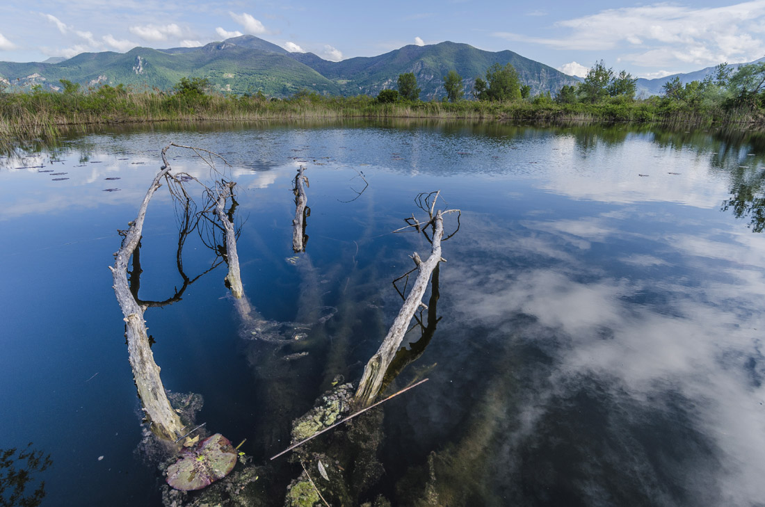 Lago d'Iseo (BS) Riserva Naturale Torbiere del Sebino ©Mario Verin