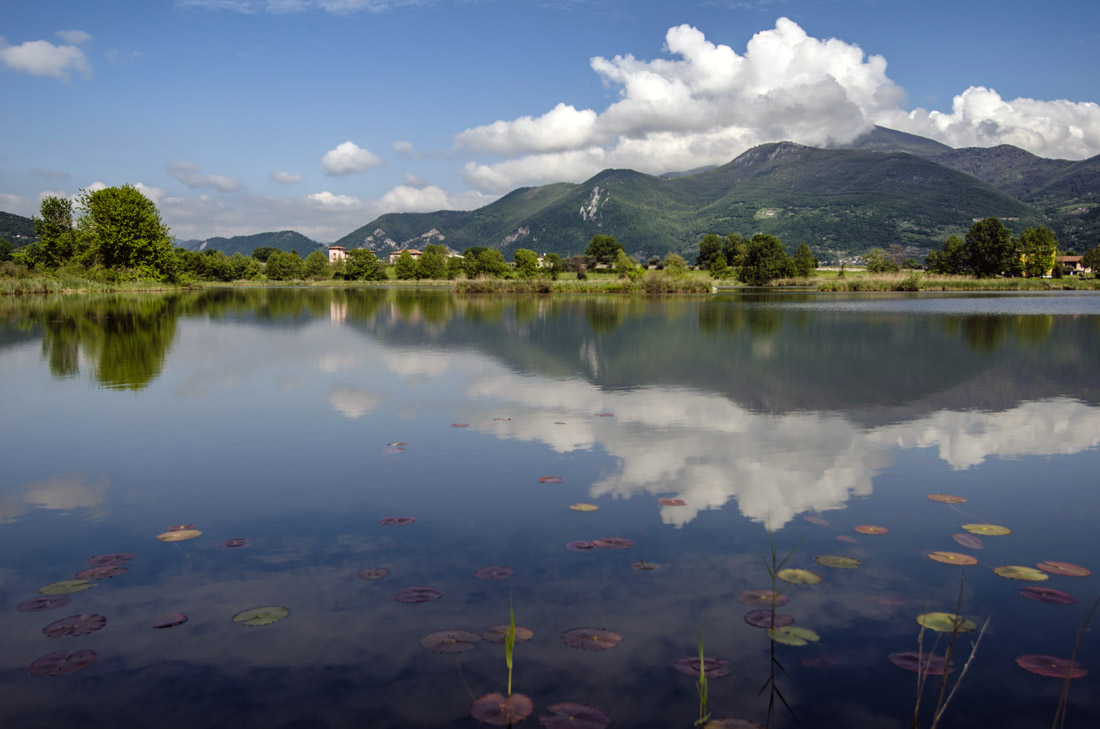 Lago d'Iseo (BS) Riserva Naturale Torbiere del Sebino ©Mario Verin