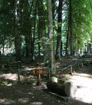 Villaggio carbonai e taglialegna - Foresta Umbra, Parco del Gargano © A.Rossi, Camaleo S.r.l. (Rm) si ringrazia il Comando Generale dell'Arma dei Carabinieri