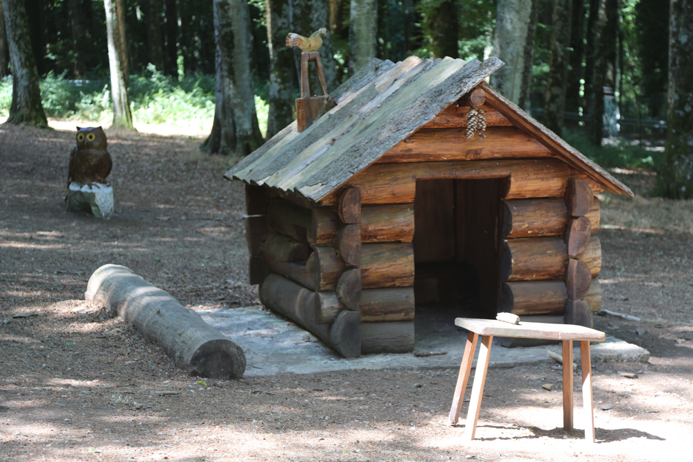 Giocabosco - Foresta Umbra, Parco del Gargano © A.Rossi, Camaleo S.r.l. (Rm) si ringrazia il Comando Generale dell'Arma dei Carabinieri