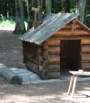 Giocabosco - Foresta Umbra, Parco del Gargano © A.Rossi, Camaleo S.r.l. (Rm) si ringrazia il Comando Generale dell'Arma dei Carabinieri