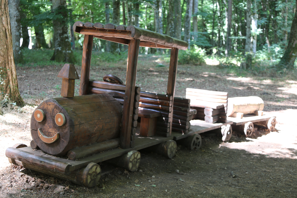 Giocabosco - Foresta Umbra, Parco del Gargano © A.Rossi, Camaleo S.r.l. (Rm) si ringrazia il Comando Generale dell'Arma dei Carabinieri