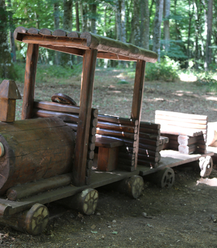 Giocabosco - Foresta Umbra, Parco del Gargano © A.Rossi, Camaleo S.r.l. (Rm) si ringrazia il Comando Generale dell'Arma dei Carabinieri