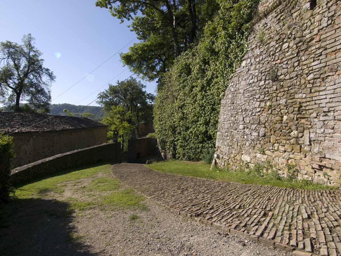 Bianello All'interno della cinta fortificata © Mario Vianelli