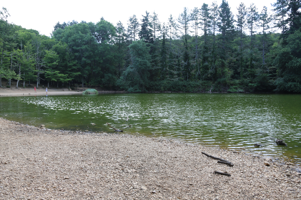 Foresta Umbra, Parco del Gargano © A.Rossi, Camaleo S.r.l. (Rm) si ringrazia il Comando Generale dell'Arma dei Carabinieri