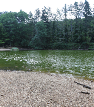 Foresta Umbra, Parco del Gargano © A.Rossi, Camaleo S.r.l. (Rm) si ringrazia il Comando Generale dell'Arma dei Carabinieri