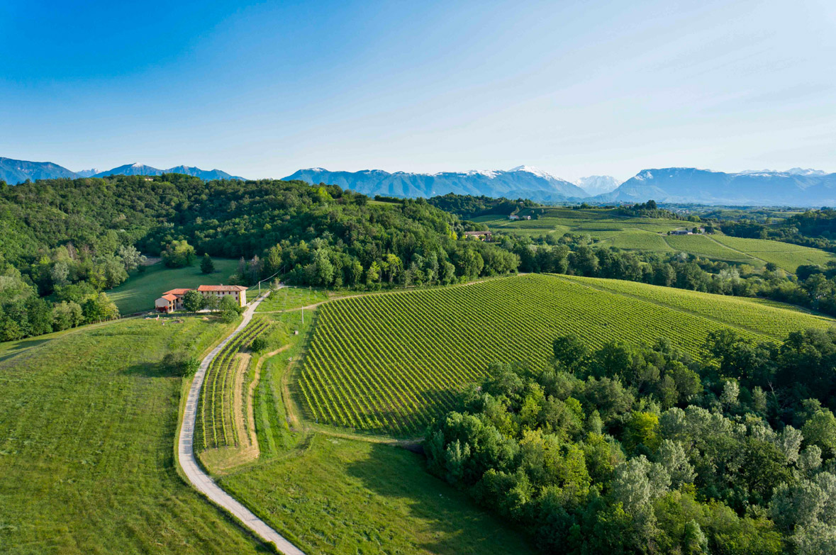 Tenuta Collalto Panorama vigneti © Arcangelo Piai