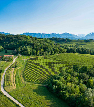 Tenuta Collalto Panorama vigneti © Arcangelo Piai