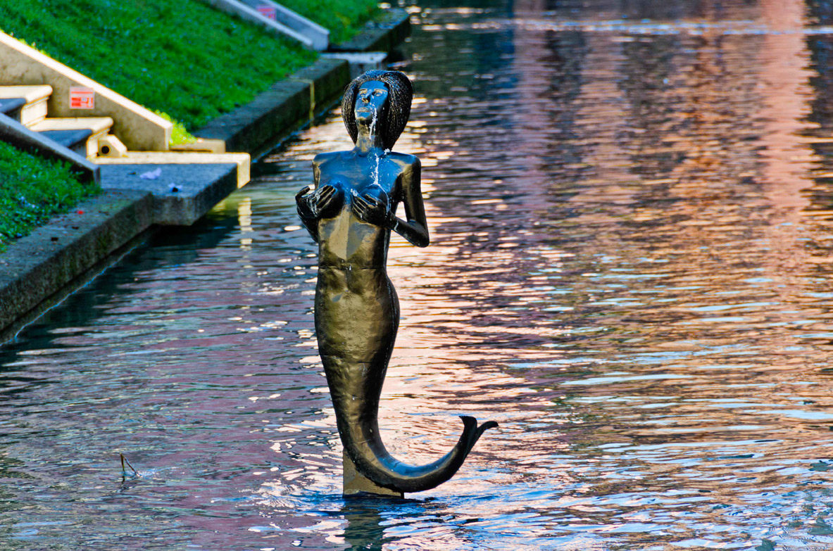Treviso Pescheria © Mario Verin