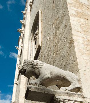 Barletta Cattedrale di Santa Maria Maggiore, particolare della facciata © Natalino Russo