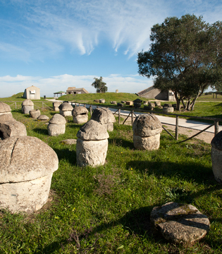 Tarquinia Urne all'ingresso della necropoli ©Fabrizio Ardito