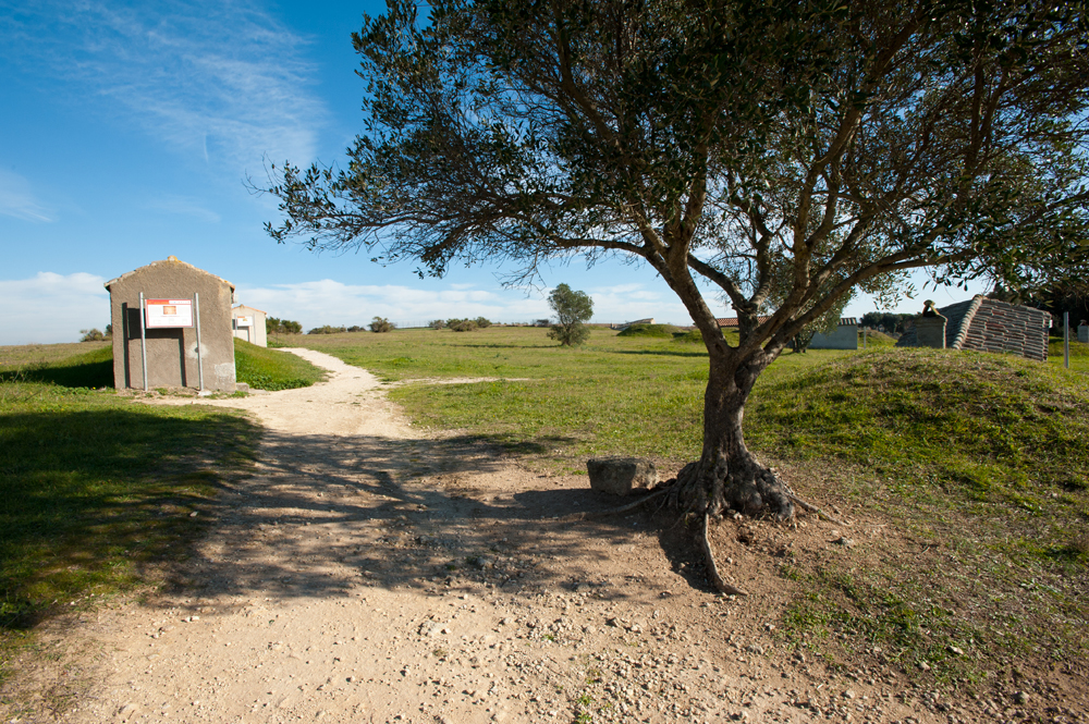 Tarquinia Necropoli ©Fabrizio Ardito