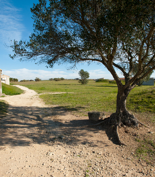 Tarquinia Necropoli ©Fabrizio Ardito