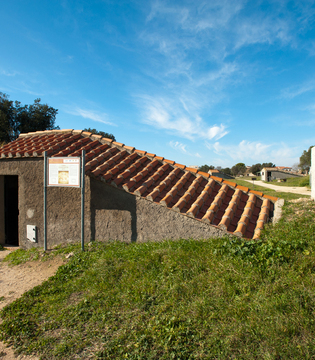 Tarquinia Tomba dei Bettini ©Fabrizio Ardito