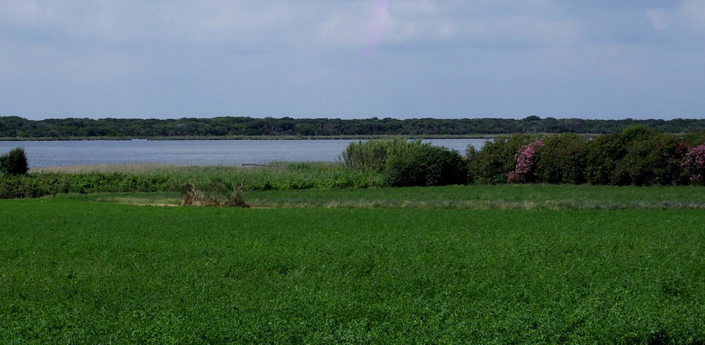 Oasi di Burano ©Matteo Vinattieri