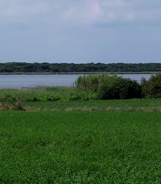 Oasi di Burano ©Matteo Vinattieri