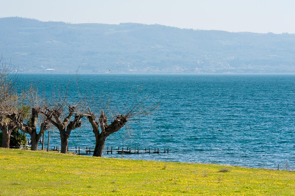 Panorama del lago di Bolsena ©Fabrizio Ardito